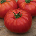 Burpee Heritage Hybrid Tomato Seeds 30 seeds