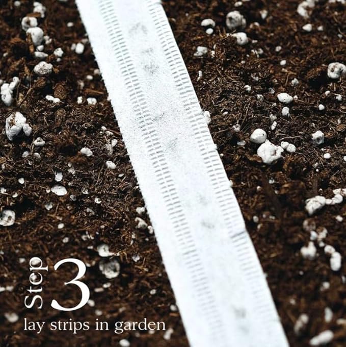 Park Seed Radish Vegatable Plant Seeds, Easy to Grow, Variety of Colors, Spring Garden, Annabel Hybrid, 15 Feet of Tape