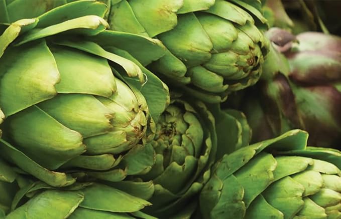 Artichoke Seeds for Planting, Green Globe Artichoke Seeds, High Germination Rates, Heirloom, Non-GMO
