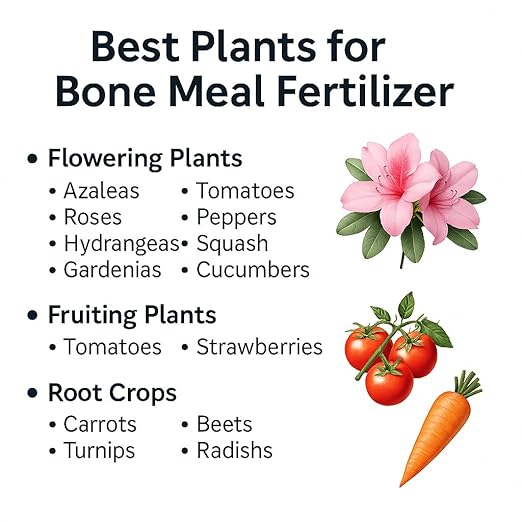 𝐁𝐄𝐒𝐓𝐒𝐄𝐋𝐋𝐄𝐑 Organic Bone Meal Fertilizer by Gardenera (4-12-0 NPK) All-Natural Plant Food Source of Nitrogen and Phosphorus for Bulbs, Gardens, Potted Plants, Trees, and Shrubs [8 OZ]