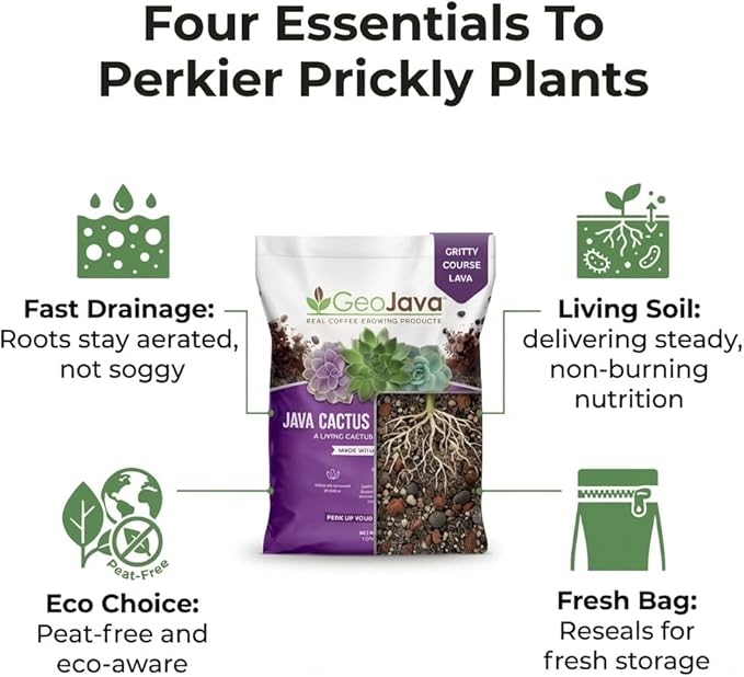 Java Cactus & Succulent Soil: A Gritty, Fast‑Draining, Peat-Free, Ready‑to‑Use Potting Mix for Cacti & Succulents -Keeps Roots Well Aerated for Indoor Pots & Plants. USA Made (6QT)