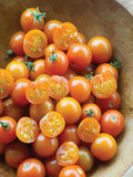 24 Seeds Sun Gold Hybrid Tomato Seeds;