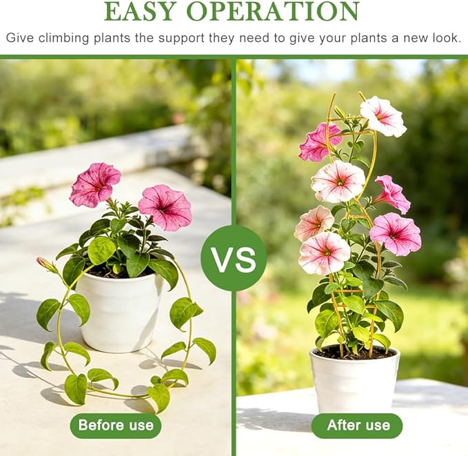 3PCS Indoor Plant Trellis for Potted Plants, Trellis for Climbing Plants Indoor, Metal Climbing Support with Unique DNA Spiral Design, Easy Installation Plant Support
