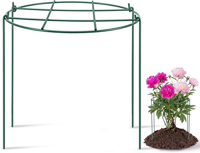 Novabright 1 Pcs 24" H x 20" D Large Peony Cage and Support Grow Through Plant Supports Round Garden Flower Stake Plants Ring Hoop for Outdoor Floral Tomato Vegetable Improve Planting Success Rate