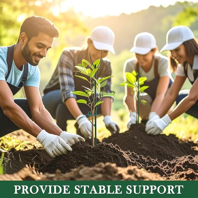 22pack Stackable Plant Support Stakes Climbing Plant Support Structures Stem Holder Structures Frame Plants Holder Stick Moss Pole for Supports(Color:Green)