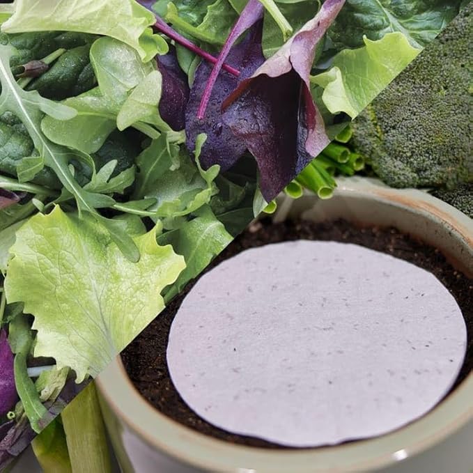 Park Seed Easy DIY Planting Sow Effortless Collection Seed Discs, Mesclun Mix, (Set of 2)