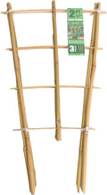 Bamboo Trellis 2FT 3 Pack, Plant Ladder Stakes 24 Inches, Natural Fan-Shaped Bamboo Trellis for Orchid Vines, Monarchs, Ivy and Other Plants Climbing, Help Plant Growth