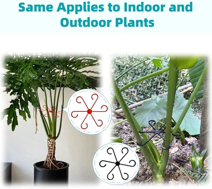 8 PCS Plant Stem Support, Plant Stakes for Indoor Plants Plant Clips for Climbing Plants, Plastic Monstera Plant Support Accessories for Potted Indoor Plant in Various Growth Stage(4 Sizes, 2 Colors)