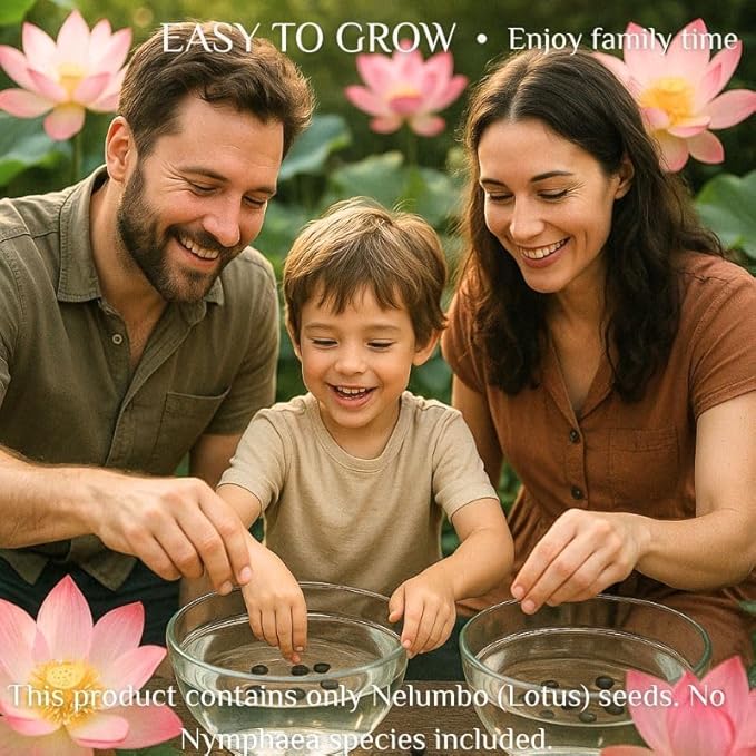 300pcs Lotus Seeds for Planting - 15 Unique Varieties Bonsai Bowl Lotus Seeds, Includes Detailed Planting Guide, Perfect for Ponds, Water Gardens & Gifts, High Germination, Easy to Grow