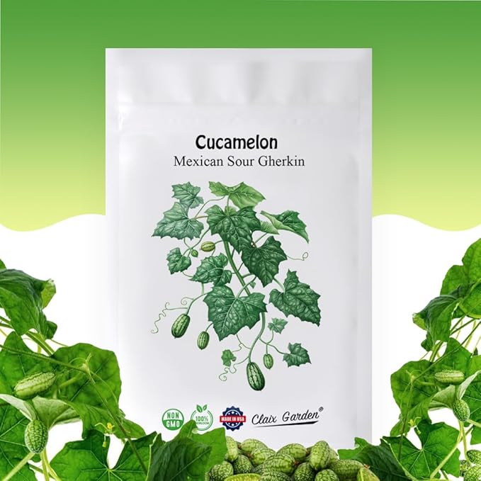 Cucamelon Seeds - Mexican Sour Gherkin - 100 Seeds - Heirloom, Non-GMO and Untreated, Excellent for Any Home Garden, Low Maintenance, Delicious Flavor