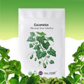Cucamelon Seeds - Mexican Sour Gherkin - 100 Seeds - Heirloom, Non-GMO and Untreated, Excellent for Any Home Garden, Low Maintenance, Delicious Flavor