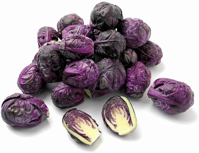 Seeds Brussels Sprouts Cabbage Purple Heirloom Vegetable Non GMO