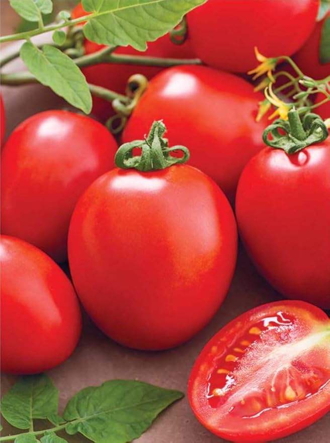 Seeds Vegetable Tomato Glory Red - 25 Seeds