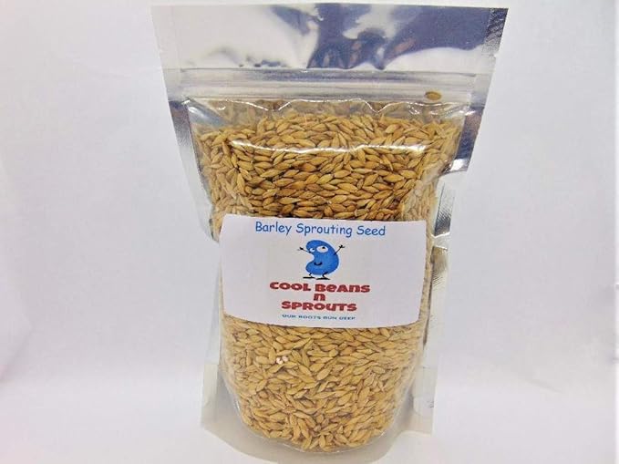 Barley Seeds for Sprouting Microgreens,8 oz A Rich Source of Vitamins and Minerals and Health-Promoting Nutrients! COOL BEANS N SPROUTS Brand, A Small Town Family Run USA Business. Thank You!