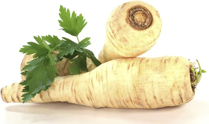 NIKA SEEDS - Seeds Herb Sugar Root Parsley Gray-White - 2000 Seeds