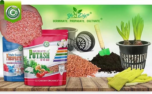 Muriate of Potash 0-0-62 Fertilizer Made in USA - MOP Potassium Plant Food for Indoor/Outdoor Plants, Flower Gardens, Fruit and Vegetable Gardens, Holistic Herbs, Trees and Green Lawns!