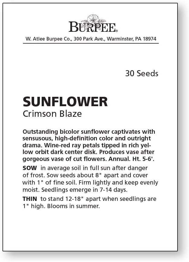 Burpee Crimson Blaze Sunflower Seeds 30 seeds