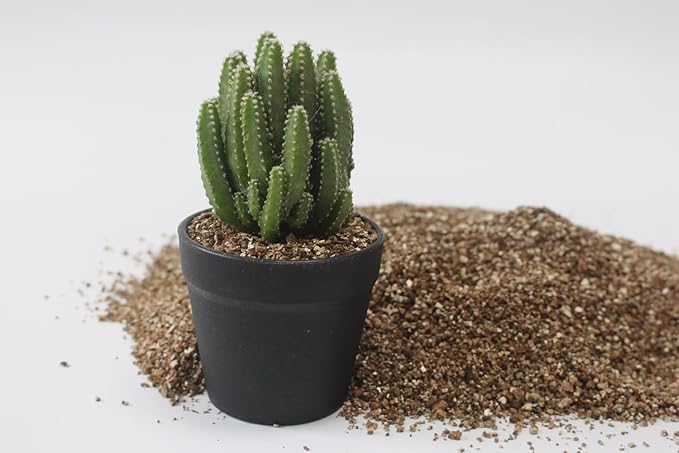 5QT Organic Vermiculite, Horticultural Vermiculite for Plants, Soil Additive for Potted Plants, Vermiculite Coarse Hydroponic for Succulent Orchid Gardening Reptiles