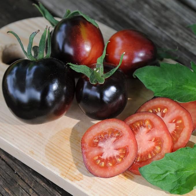 Seeds Indigo Rose Cherry Tomato - Heirloom Vegetable - GMO Free