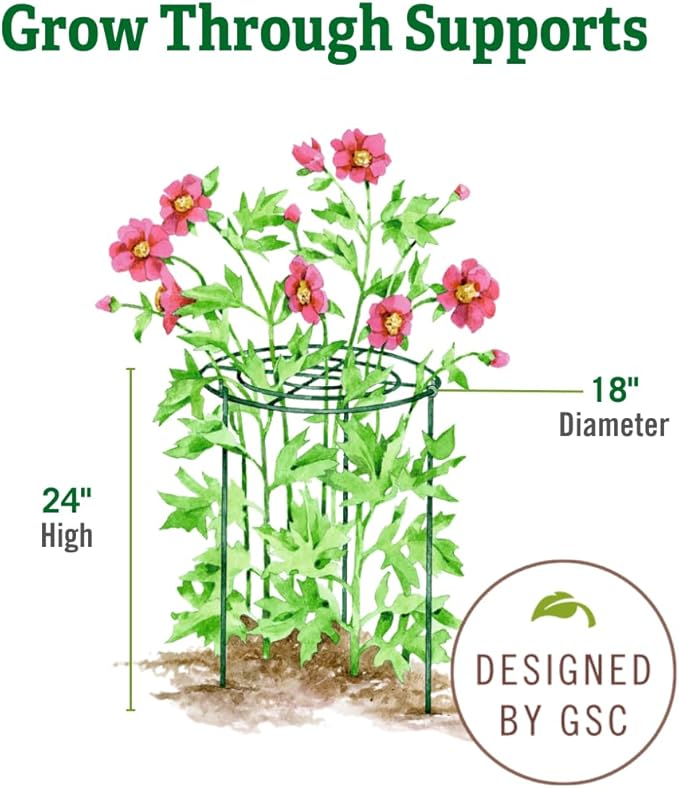Gardener's Supply Company Grow Through Plant Support | Sturdy Metal Support Frame for Peonies, Roses Flower Garden Cage | Wide Top Rings Bouquet Shape |18" D X 24" H (Set of 3)