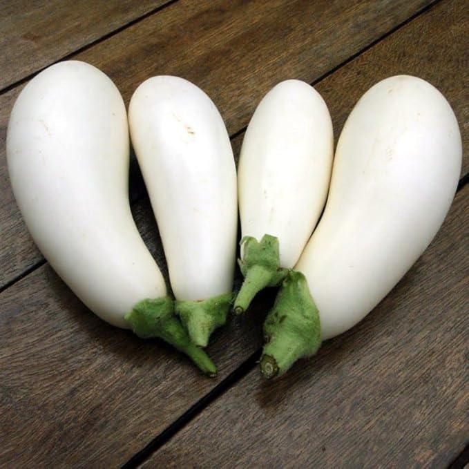 Seeds White Eggplant - Heirloom Vegetable - GMO Free
