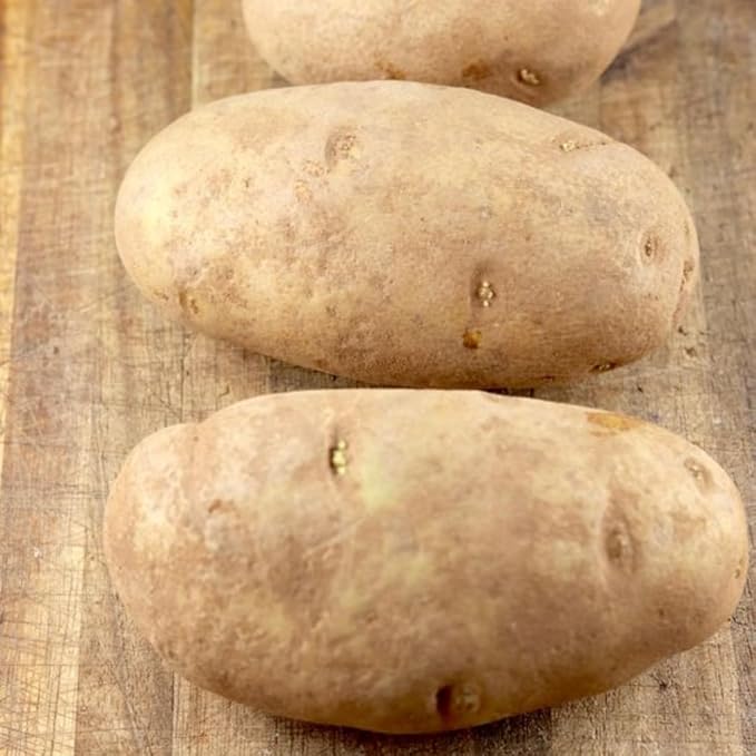2 Lbs Yellow Potato Tubers High Yielding for Outdoor Planting,Vegetables Potatoes Plants Bulbs Seeds, Heirloom Seed Potato Live Tuber