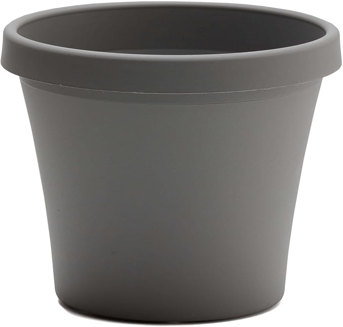 Bloem Terra 6" Diameter Round Charcoal Resin Planter Pot with Drainage Holes for Indoor and Outdoor Gardening