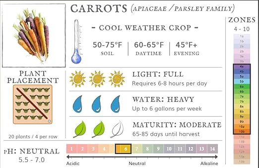 Dirt Goddess Super Seeds~ Scarlet Nantes Carrot Non GMO (1 Lb)