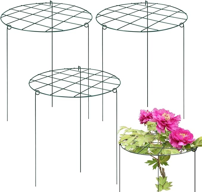 3 Pack 16 x 24 Inch Peony Support Cage Grow Through Plant Supports for Outdoor Plants Peony Ring Hoop Grow Through Grid Stakes
