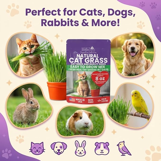 NatureZ Edge Premium Cat Grass Seeds for Indoor Cats, Non GMO - 1/2 lb Oat & Barley Grass for Indoor Cats, Cat Plant, Kitty Lawn, Pet Grass, Hierba para Gatos, Made in USA