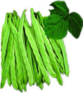 Park Seed Algarve French Climbing Bean Seeds – Gourmet Flavor, Award-Winning High Yields, 10-Inch Stringless Pods, Robust Vines for Trellises or Three Sisters Planting – Pack of 100