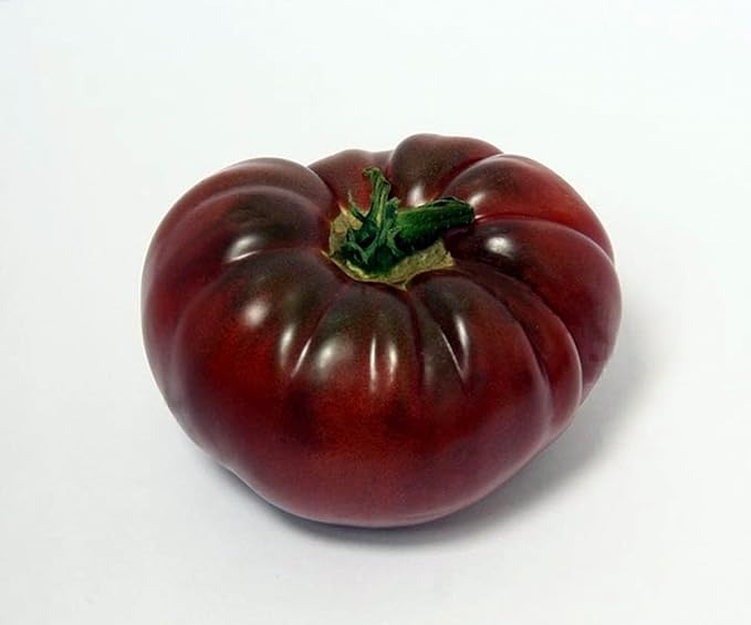 Seeds4planting - Seeds Tomato Black Elephant Giant Heirloom Vegetable Non GMO