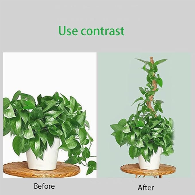 2 Pack 48" Bendable Moss Pole for Monstera Plant Support, Coco Coir Stakes for Climbing Plants, Indoor Trellis for Pothos, Philodendron & Houseplants – Adjustable Plant Support Kit
