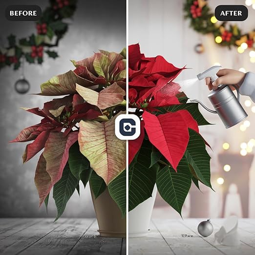 Gardenera Poinsettia Plant 3-1-2 Fertilizer Spray - Organic Liquid Plant Food Mist for Christmas Flowers and Trees - 8oz