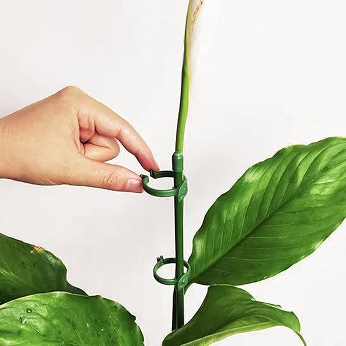 20 Pcs Plant Support Stakes Height Adjustable Garden Single Stem Plant Stake with 40 Pcs Plant Clips and 10 Pcs Connect Pipe for Orchid Rose Peony Peppers Amaryllis Tomato(12 Inch)