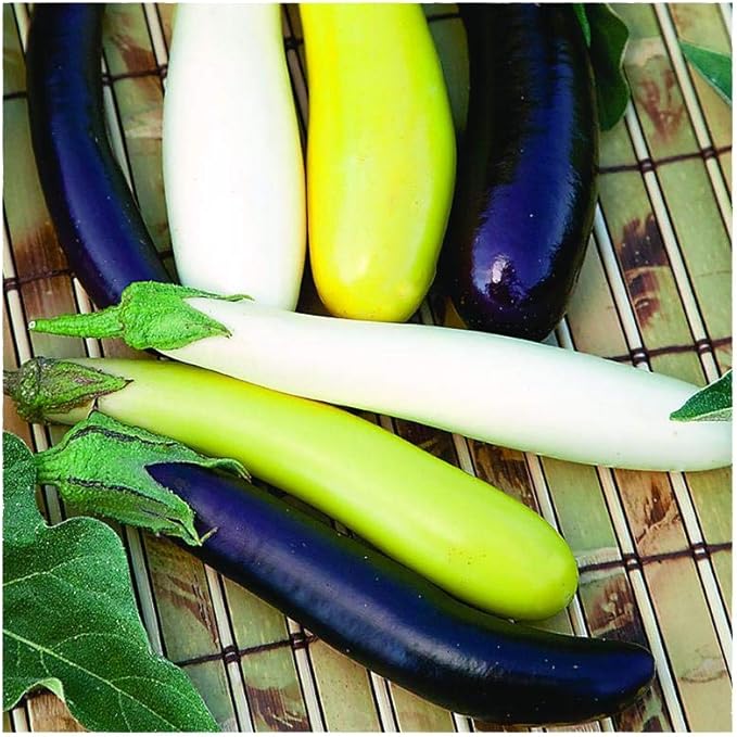 Park Seed Variety of Eggplant Vegetable Seeds, Plant Seeds, Easy to Grow, Perfect for Harvesting, Fingerling Blend, Pack of 25