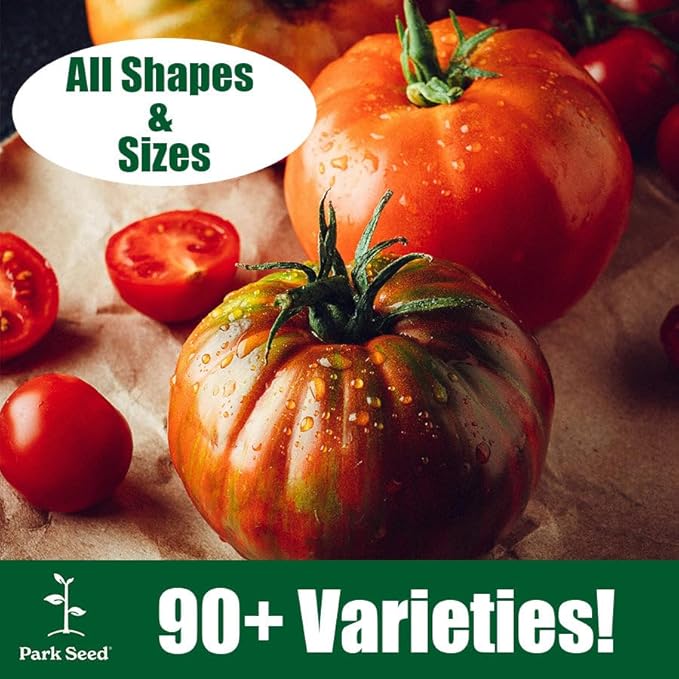 Park Seed Variety of Tomato Seeds, Planting Vegetables, Easy to Grow, Non-GMO, Perfect for Harvesting, Mater Sandwich Hybrid Organic, Pack of 20