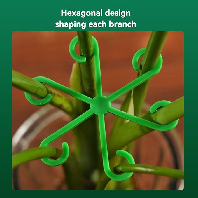 12pcs Climbing Houseplant Stem Supports, 4 Sizes Plastic Plant Climbers Stem Holders, Reusable Flower Plant Stakes Trellis Stem Hook Growth Accessories for Different Plant