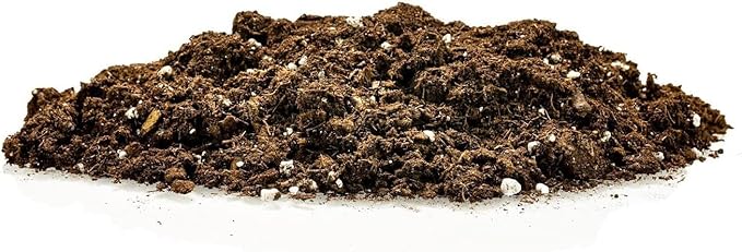 GARDENERA Premium Dracaena Potting Soil Mix - (4 Quart Bag)
