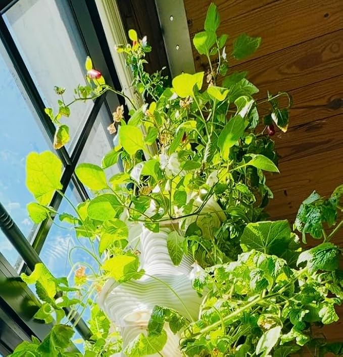 3-Way Module for Hydroploot Indoor Desktop Hydroponics Tower System, with 3 Pods and Diffuser, Expandable to 5 Modules, White