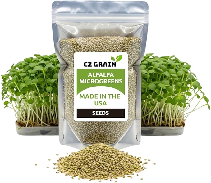 Alfalfa Microgreens Seed for Growing - Easy and Fast Growing, Very Healthy Microgreens (1,000 Seeds)