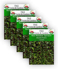 TKE Farms, Red Malabar Seeds for Planting, 1 Gram, Approximately 40 Seeds, Basella Rubra, Non-GMO, Heirloom, Qty 5