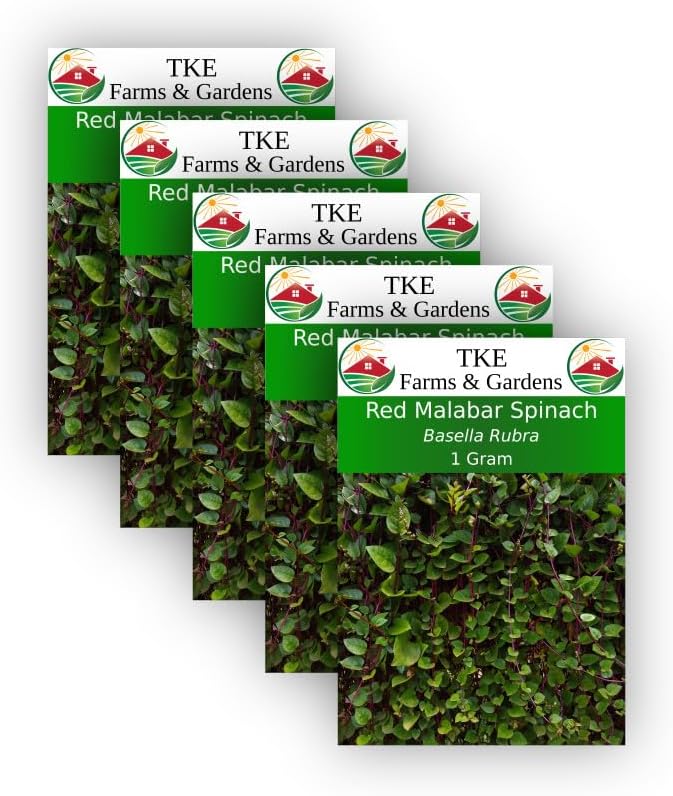 TKE Farms, Red Malabar Seeds for Planting, 1 Gram, Approximately 40 Seeds, Basella Rubra, Non-GMO, Heirloom, Qty 5