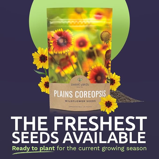 Plains Coreopsis Seeds – Native Flowers – Bulk Quarter Pound Bag – Over 400,000 Open Pollinated Non-GMO Wildflower Seeds – Coreopsis tinctorial