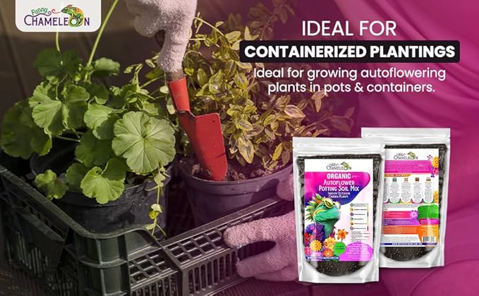 Organic Autoflower Potting Soil Mix – Ready-to-Use Living Soil, No Fertilizers Needed – Balanced Nutrients, Light Texture, Excellent Drainage, Boosts Germination & Root Growth (1 Quart)