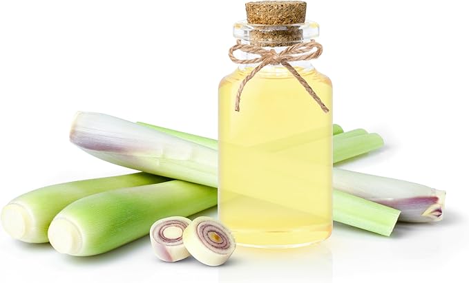 TKE Farms & Gardens - Lemongrass Seeds for Planting, Over 750 Non-GMO Seeds, Grow Indoors & Outdoors for Fresh Herbs Year Round, Easy-to-Grow Aromatic Herb for Cooking, Teas & Wellness