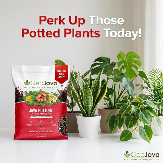 Java Potting Soil: A Chunky, Coffee‑Infused Living Potting Mix for Aroids, Monstera, Calathea, Tropical and Indoor Plants. Airy & Light with Excellent Drainage & Aeration. USA Made (6 QT)