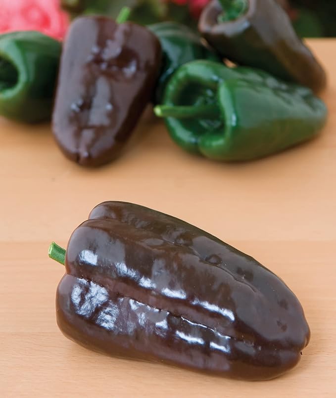 Burpee Poblano' (Ancho) 4" Heart-Shaped Dark Green to Red Peppers, 100 seeds
