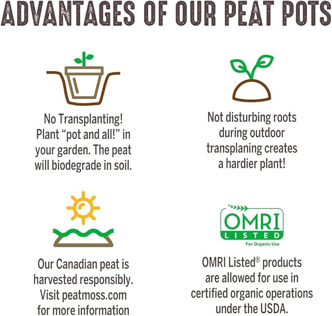 Jiffy Plant Pot - Organic Seed Starting, Biodegradable Pots for Seedlings - 5 in, 100 Pots - Peat