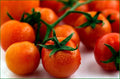 Tomato Large Cherry Basket Pack Garden Heirloom Vegetable Seeds by Seed Kingdom (1 OZ Seeds)